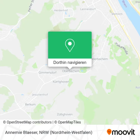 Annemie Blaeser Karte