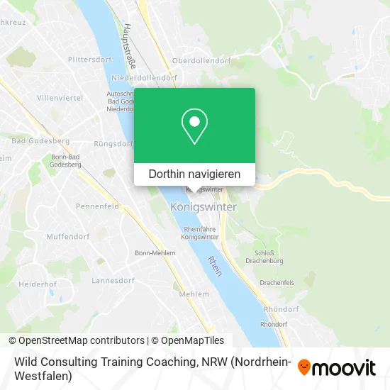 Wild Consulting Training Coaching Karte