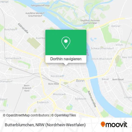 Butterblumchen Karte