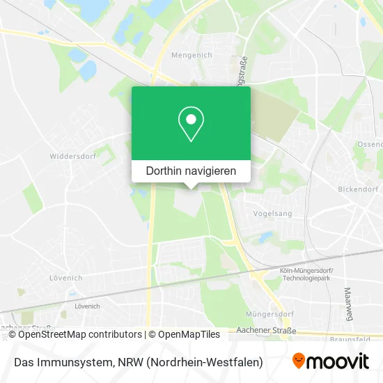 Das Immunsystem Karte