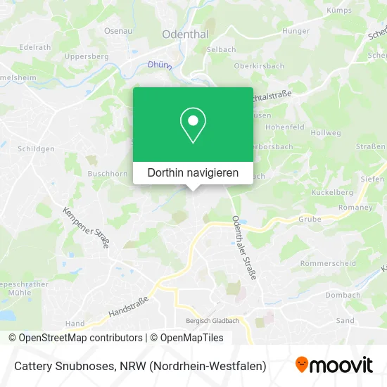 Cattery Snubnoses Karte