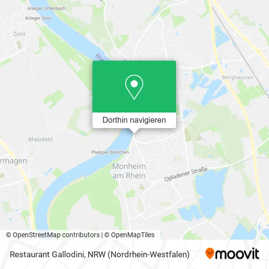 Restaurant Gallodini Karte