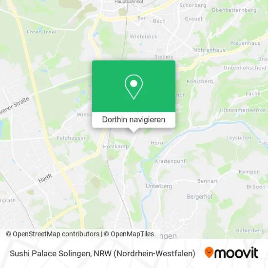 Sushi Palace Solingen Karte