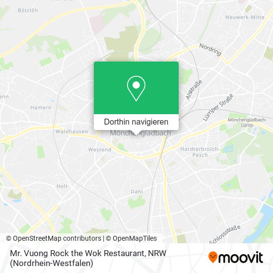 Mr. Vuong Rock the Wok Restaurant Karte