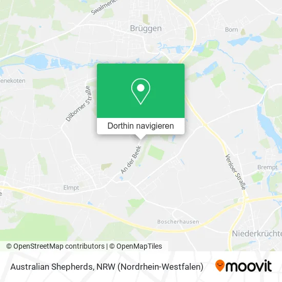 Australian Shepherds Karte