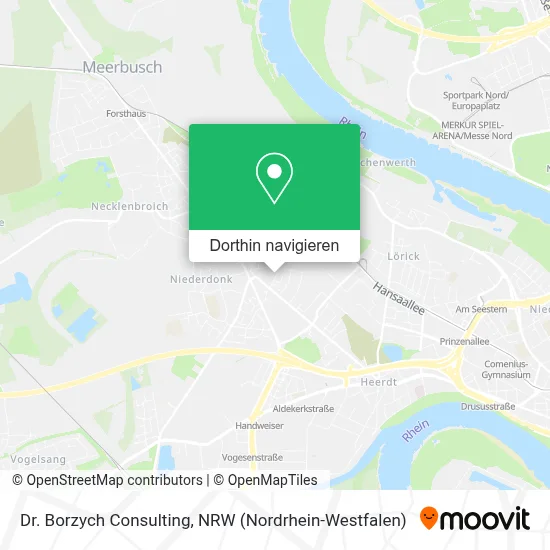 Dr. Borzych Consulting Karte