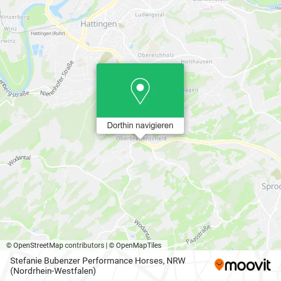 Stefanie Bubenzer Performance Horses Karte