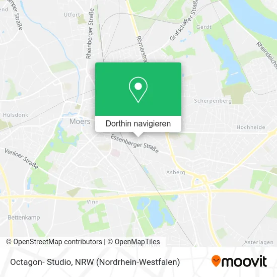 Octagon- Studio Karte