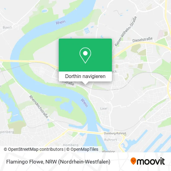 Flamingo Flowe Karte