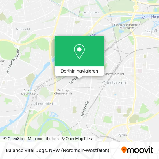 Balance Vital Dogs Karte