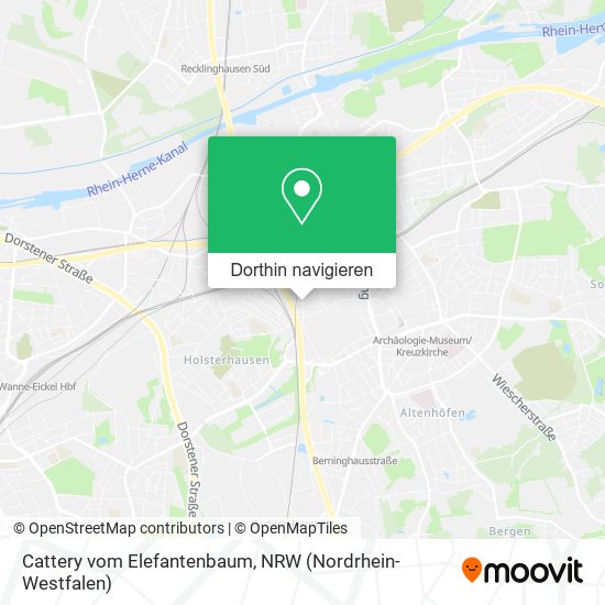 Cattery vom Elefantenbaum Karte