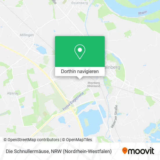 Die Schnullermäuse Karte