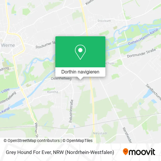 Grey Hound For Ever Karte