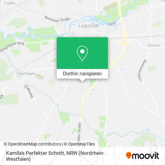 Kamila's Perfekter Schnitt Karte