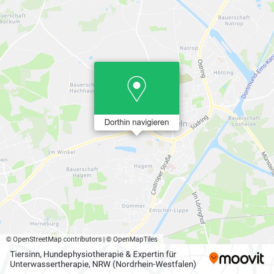 Tiersinn, Hundephysiotherapie & Expertin für Unterwassertherapie Karte