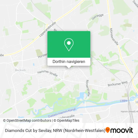 Diamonds Cut by Sevilay Karte