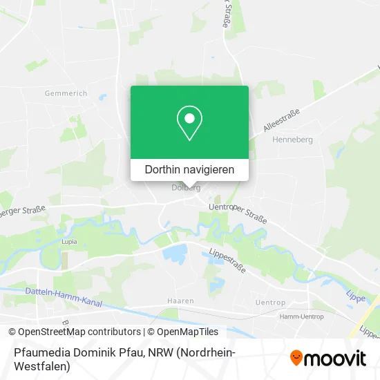 Pfaumedia Dominik Pfau Karte