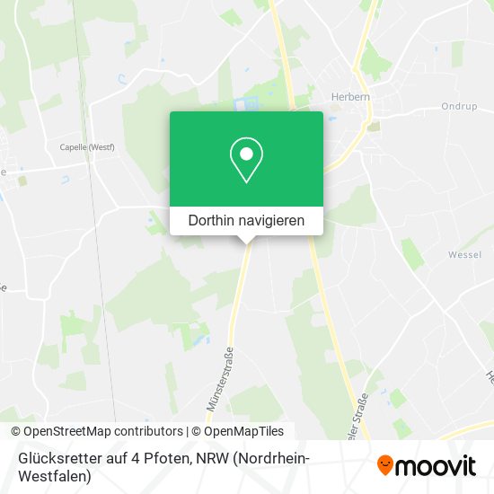 Glücksretter auf 4 Pfoten Karte