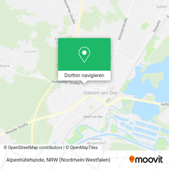 Alpenhütehunde Karte