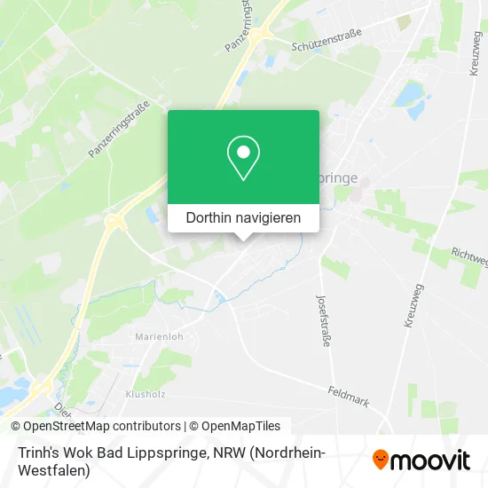 Trinh's Wok Bad Lippspringe Karte