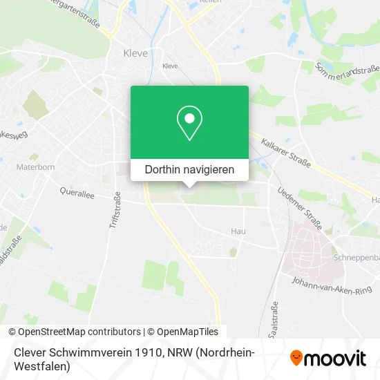 Clever Schwimmverein 1910 Karte