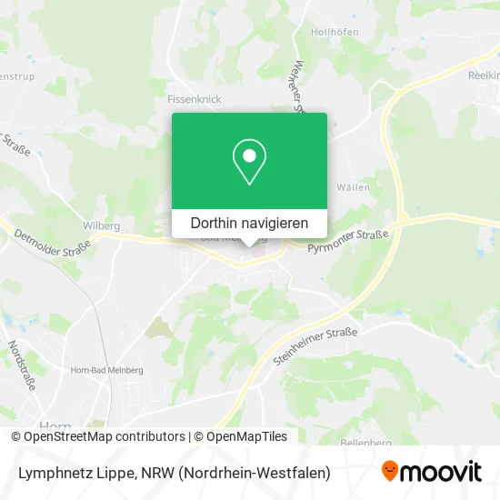 Lymphnetz Lippe Karte