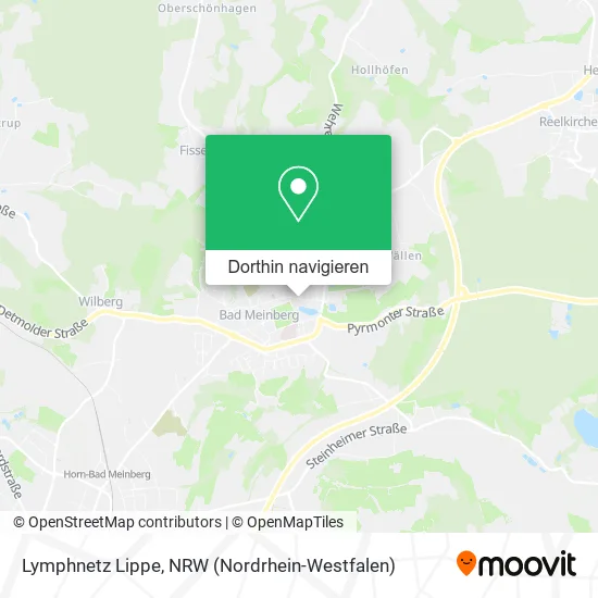 Lymphnetz Lippe Karte