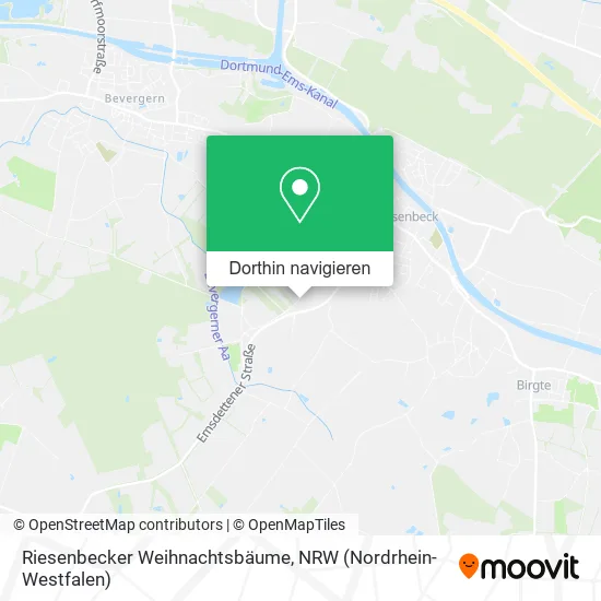 Riesenbecker Weihnachtsbäume Karte