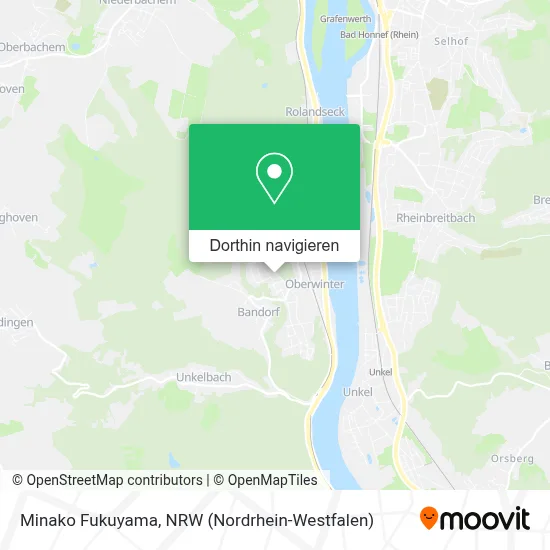 Minako Fukuyama Karte