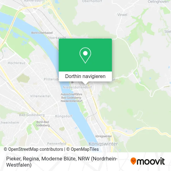 Pieker, Regina, Moderne Blüte Karte