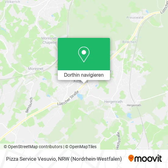 Pizza Service Vesuvio Karte