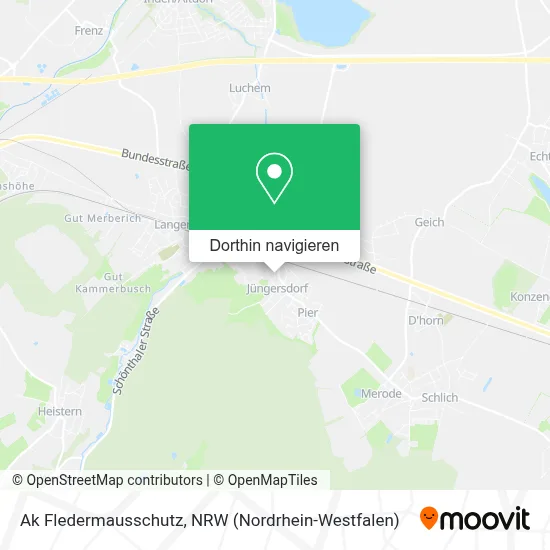 Ak Fledermausschutz Karte