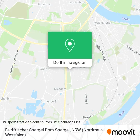 Feldfrischer Spargel Dom Spargel Karte