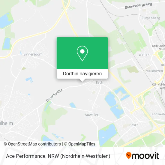 Ace Performance Karte