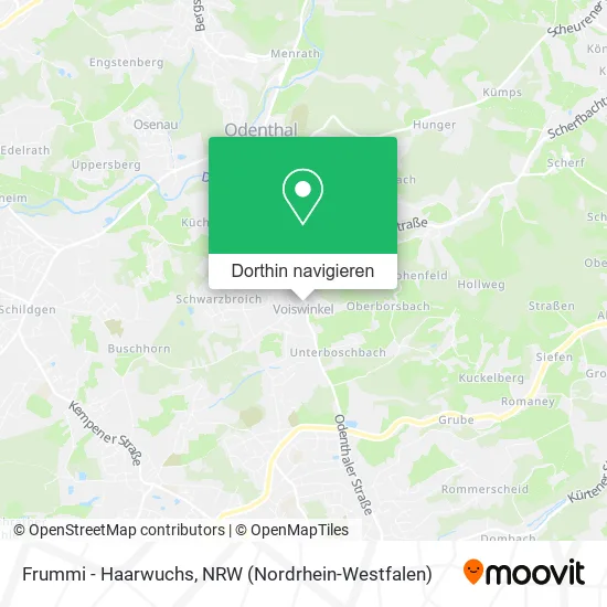 Frummi - Haarwuchs Karte