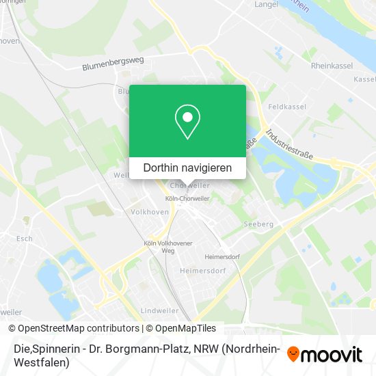 Die,Spinnerin - Dr. Borgmann-Platz Karte