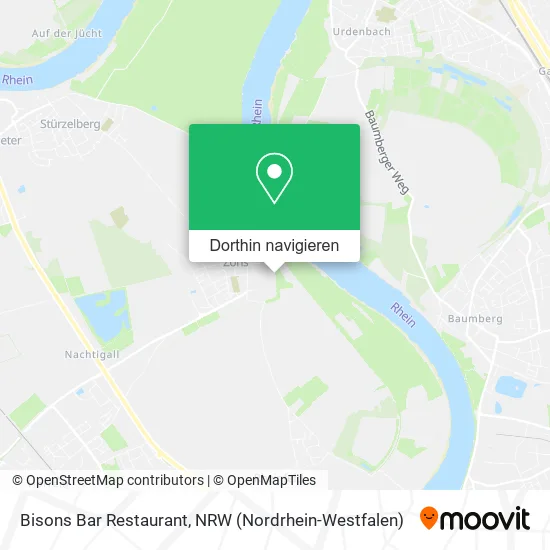 Bisons Bar Restaurant Karte