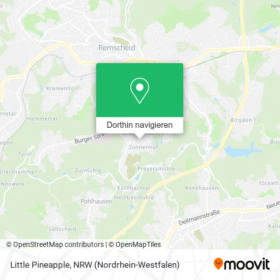 Little Pineapple Karte