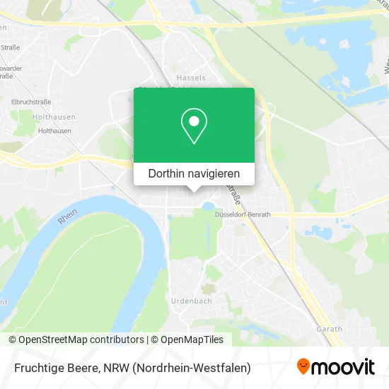 Fruchtige Beere Karte