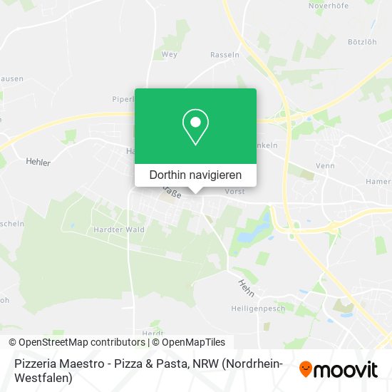 Pizzeria Maestro - Pizza & Pasta Karte