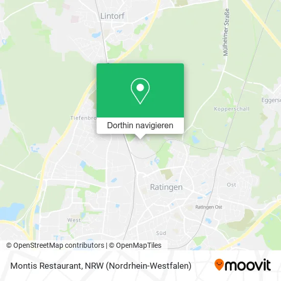 Montis Restaurant Karte