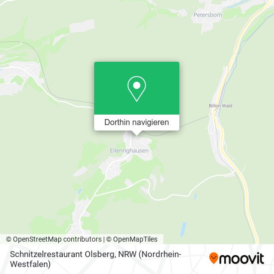 Schnitzelrestaurant Olsberg Karte