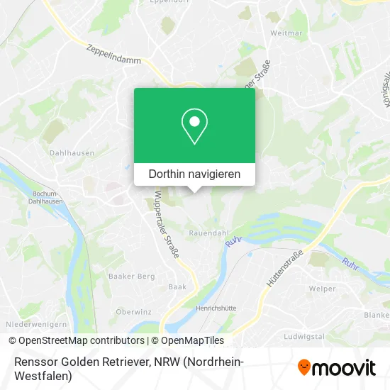 Renssor Golden Retriever Karte