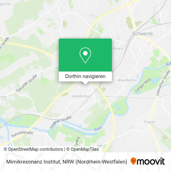 Mimikresonanz Institut Karte