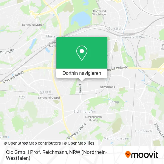 Cic GmbH Prof. Reichmann Karte