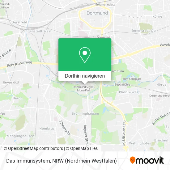 Das Immunsystem Karte