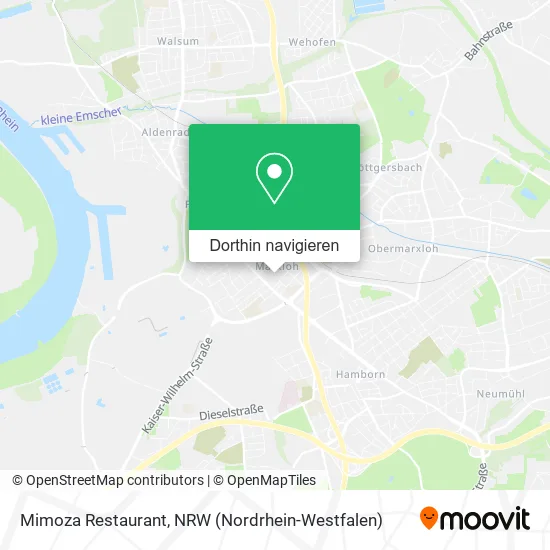 Mimoza Restaurant Karte