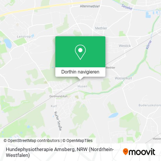 Hundephysiotherapie Amsberg Karte