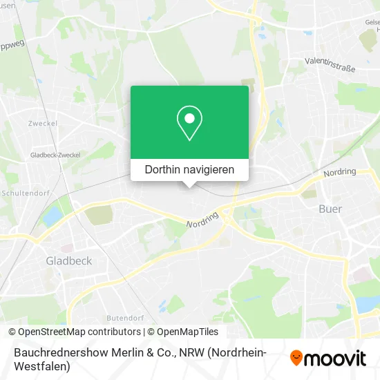 Bauchrednershow Merlin & Co. Karte