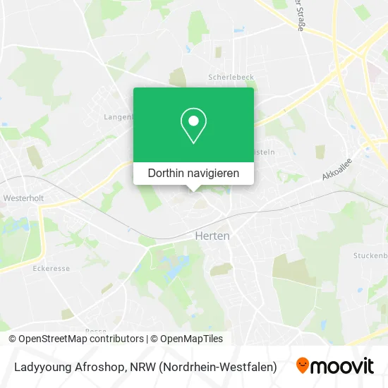 Ladyyoung Afroshop Karte